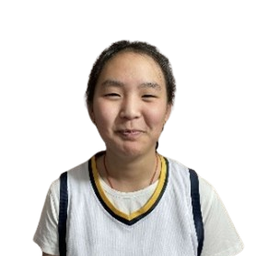 Нандин-Ивээл