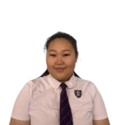 Амин-Эрдэнэ