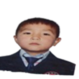 Бат-Ирээдүй