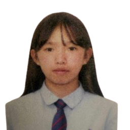 Нандин-Эрдэнэ