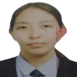 Нандин-Эрдэнэ