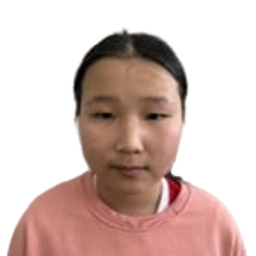 Нандин-Эрдэнэ