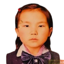 Нандин-Эрдэнэ