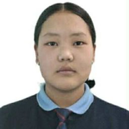 Амин-Эрдэнэ