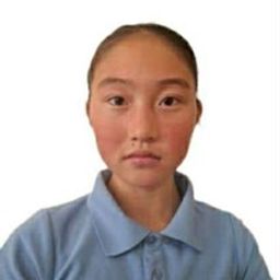 Хишигсүрэн