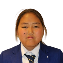 Түвшинсайхан