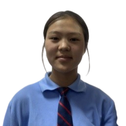 Нандин-Эрдэнэ