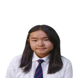 Амин-Эрдэнэ