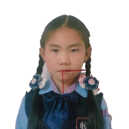 Нандин-эрдэнэ