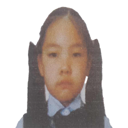 Цэнгүүн-Эрдэнэ