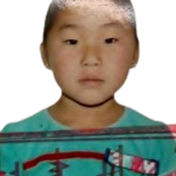 Нандин-Эрдэнэ