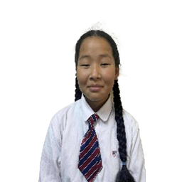 Номин-Эрдэнэ