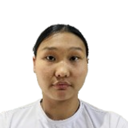 Нандин-Эрдэнэ