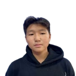 Шижир-Эрдэнэ