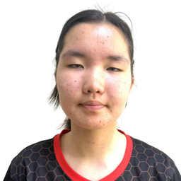 Нандин-Эрдэнэ