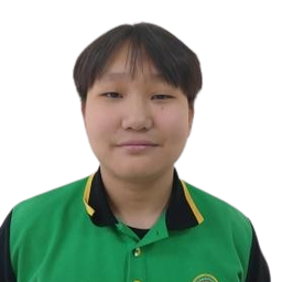 Төмөрбилэгт