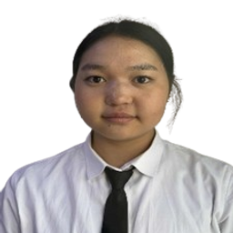 Нандин-Эрдэнэ