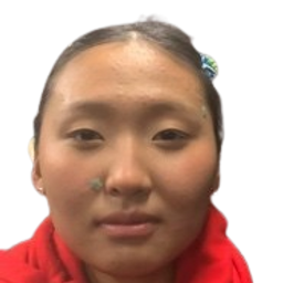 Нандин-Эрдэнэ