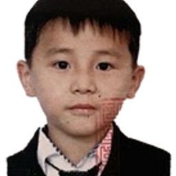 Алтанбагана