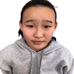 Нандин-Эрдэнэ