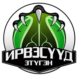 Team / Coach