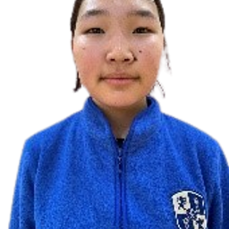 Амин-Эрдэнэ